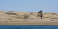 کویر در آغوش دریا/ بندر تنگ منطقه‌ای بکردر چابهار