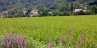 روستای همیشه سبز ایران را بشناسیم