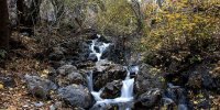 پاییز بی‌نظیر در روستاهای رندان و تالون