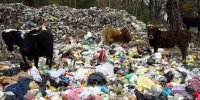 معضل زیست محیطی در آستانه اشرفیه