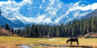 بلندترین کوه‌ها برای کوهنوردی