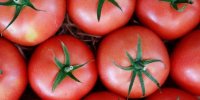استفاده از گوجه فرنگی به جای طلا و جواهرات عروسی