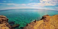 نظاره گر دلفین ها در جزیره هنگام باشید