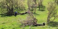 رشد قابل توجه جانمایی نقشه منابع طبیعی یزد برای صدور سند مالکیت