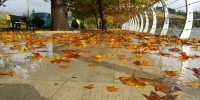 آخرین نفس های پاییز تهران