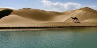 بهترین مکان های دیدنی دنیا در ایران است