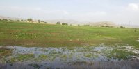 خشکسالی روستائیان اسلام‌آباد غرب را رنج داده است