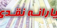 طرح هدفمندی یارانه‌ها 9 ساله شد