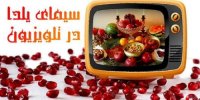 خلاقیت جالب صداوسیما؛ مجری ها مهمان برنامه‌ های شب یلدا