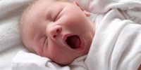 بیشترین آمار ولادت در چه ماه هایی رخ می دهد؟
