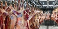 تعطیلی واحد تولیدی گوشت دهلران