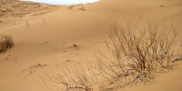 کویر ابوزیدآباد کاشان محل تلاقی زمین و آسمان