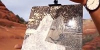 فیلم| نقاشی با نور خورشید