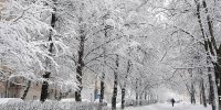 آخرین وضعیت هواشناسی ایران در ۹۸/۱۰/۲۹