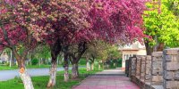 بهاری ترین شهرهای ایران برای عید 99