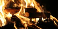 ماجرای آتش زدن کتاب مرجع پزشکی جهان توسط یک مدعی طب دینی