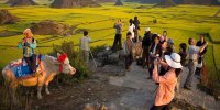 اهمیت بوم گردی برای جذب توریست