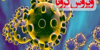 ضدعفونی کردن خیابان‌ها در چین