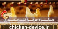 خبر خوش ایران در بین سه تولید کننده برتر دستگاه جوجه کشی در دنیا