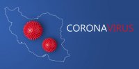 تاثیرات ویروس کرونا بر صنعت گردشگری/میوه ایرانی برای درمان کرونا