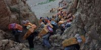 کولبری شغل می شود؟