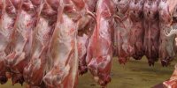 آغاز توزیع گوشت قرمز 40 هزاری از هفته آینده