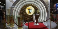 نمایشگاه گربه ها در سال 2020