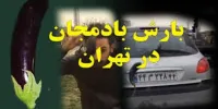 بارش بادمجان بجای شهاب سنگ بر آسمان تهران!