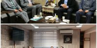 پناهگاه کرکس نمود اهتمام مخابرات به مسئولیت های اجتماعی است