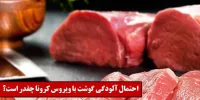 راه تشخیص آلوده بودن گوشت به کرونا