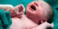 کرونا در کمین نوزاد گنابادی