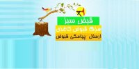 پاسخ مجدد به برخی شایعات فضای مجازی در خصوص حذف قبوض کاغذی برق