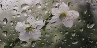 پیش بینی وضع هوا در استان های ایران