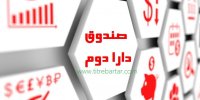 راهنمای خرید سهام دارا دوم