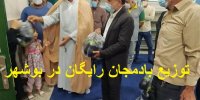 ماجرای جنجالی توزیع بادمجان رایگان در بین مردم بوشهر
