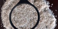 مهمترین نکات برای خرید برنج