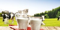 آیا شیر حاوی وایتکس است؟
