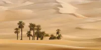کویر هایی که روحمان را سیراب می کنند