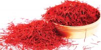 بهترین زمان کشت زعفران برای سود بیشتر