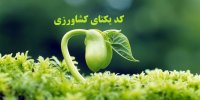 نحوه دریافت کد یکتای کشاورزی