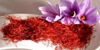 هزینه صفر تا صد تولید زعفران گلخانه ای