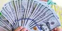 دلایل گرانی دلار/ پیش بینی ادامه روند نرخ ارز