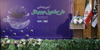 اجرای طرح تحول دیجیتال، ضامن آیندۀ فولاد مبارکه در عرصۀ رقابت و تجارت جهانی