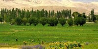 دیباج شهر گردشگری را بیشتر بشناسید