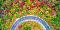 راهنمای سفر جذاب به پارک جنگلی النگدره