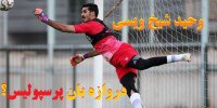 ماجرای پیوستن وحید شیخ ویسی به پرسپولیس