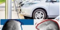 جدیدترین پیش بینی قیمت خودرو بعد انتخابات آمریکا