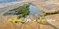 فیلم| انتقاد علی ضیا از ایجاد سایت میگو در جوار جنگل حرا به بهانه کارآفرینی!