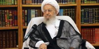 ماجرای شبنم نوه آیت الله مکارم شیرازی صحت دارد؟+فیلم
