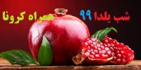 شب یلدای 99 دقیقا چه روزی است؟+عکس